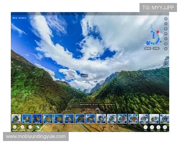 云顶4008备用入口的常见问题与解决方案,提升你的使用体验与访问效率