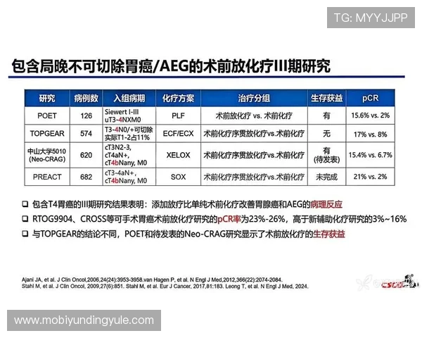 云顶4008登录网站最新版本下载及更新指南