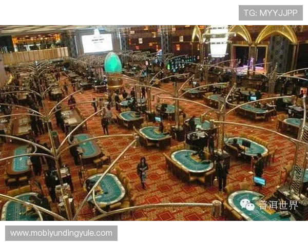 云顶赌场电脑版技术保障，确保每一场游戏公平公正安全可靠