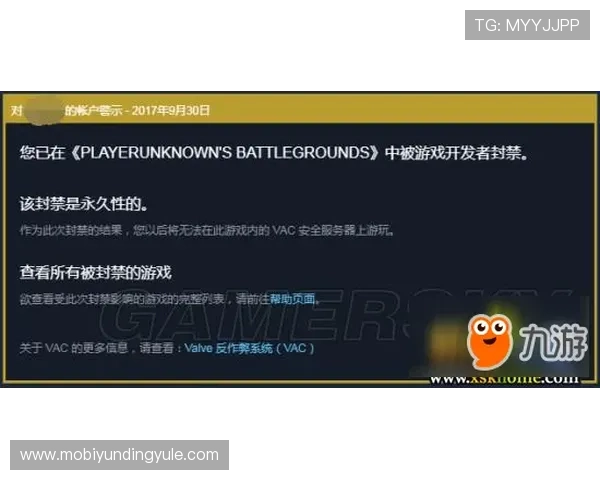 如何快速找回云顶游戏ID避免账号被盗的实用技巧