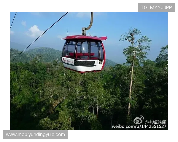 马来西亚云顶网址稳定登录技巧与常见故障排查方法