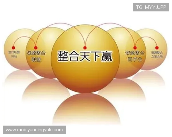 AG视讯集团的合作伙伴与行业联盟关系深度剖析促进资源整合