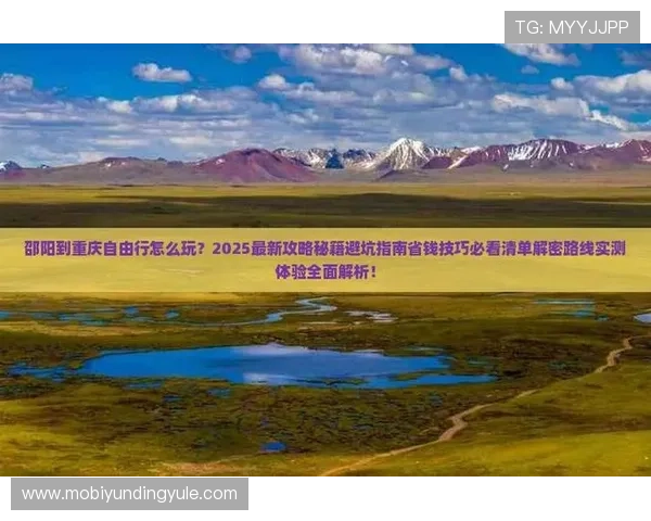 云顶攻略助手网页版全面指南助你轻松掌握游戏技巧提升排名